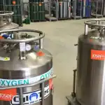 Fill-Plant-2